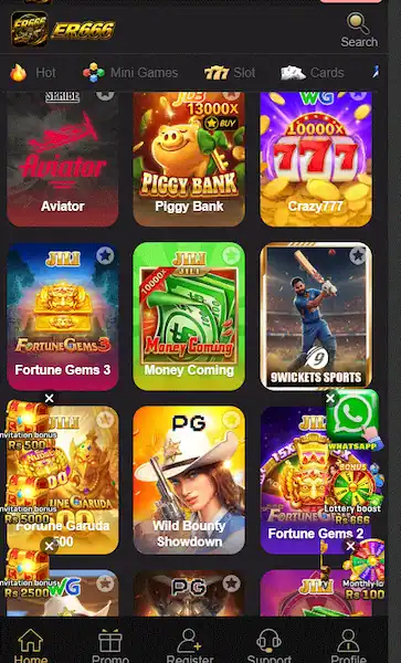 ER666 Game